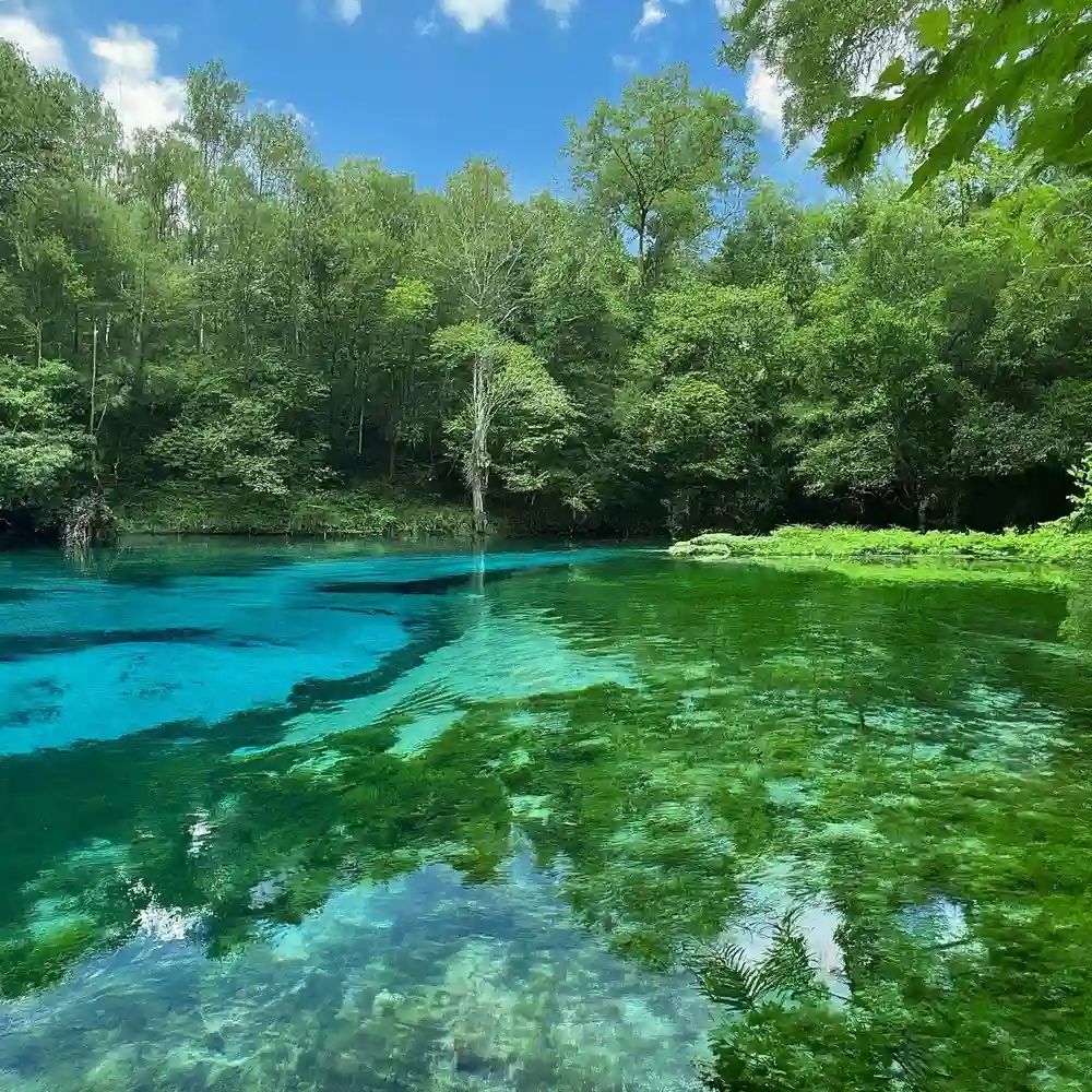 Crystal Clear Waters of Blue Heart Springs